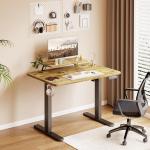 TRIUMPHKEY Escritorio Elevable Eléctrico 120x60 cm Marrón