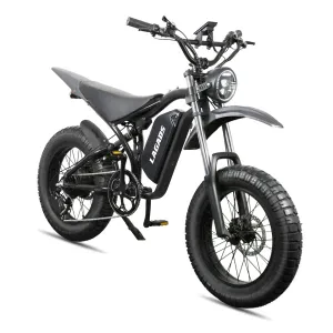 SPORTS EBIKE FatTyre 1000W 60Ks
