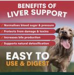 Liver Support for Dogs 