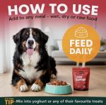 Liver Support for Dogs 