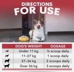 Liver Support for Dogs 