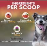 Liver Support for Dogs 