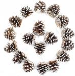 18 pieces Snow Tipped Or Plain Brown Pinecones for all Your Christmas Projects