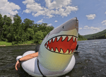 Great White Bite Inflatable Pool Float