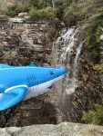 24" Inflatable Shark for Parties and Pools