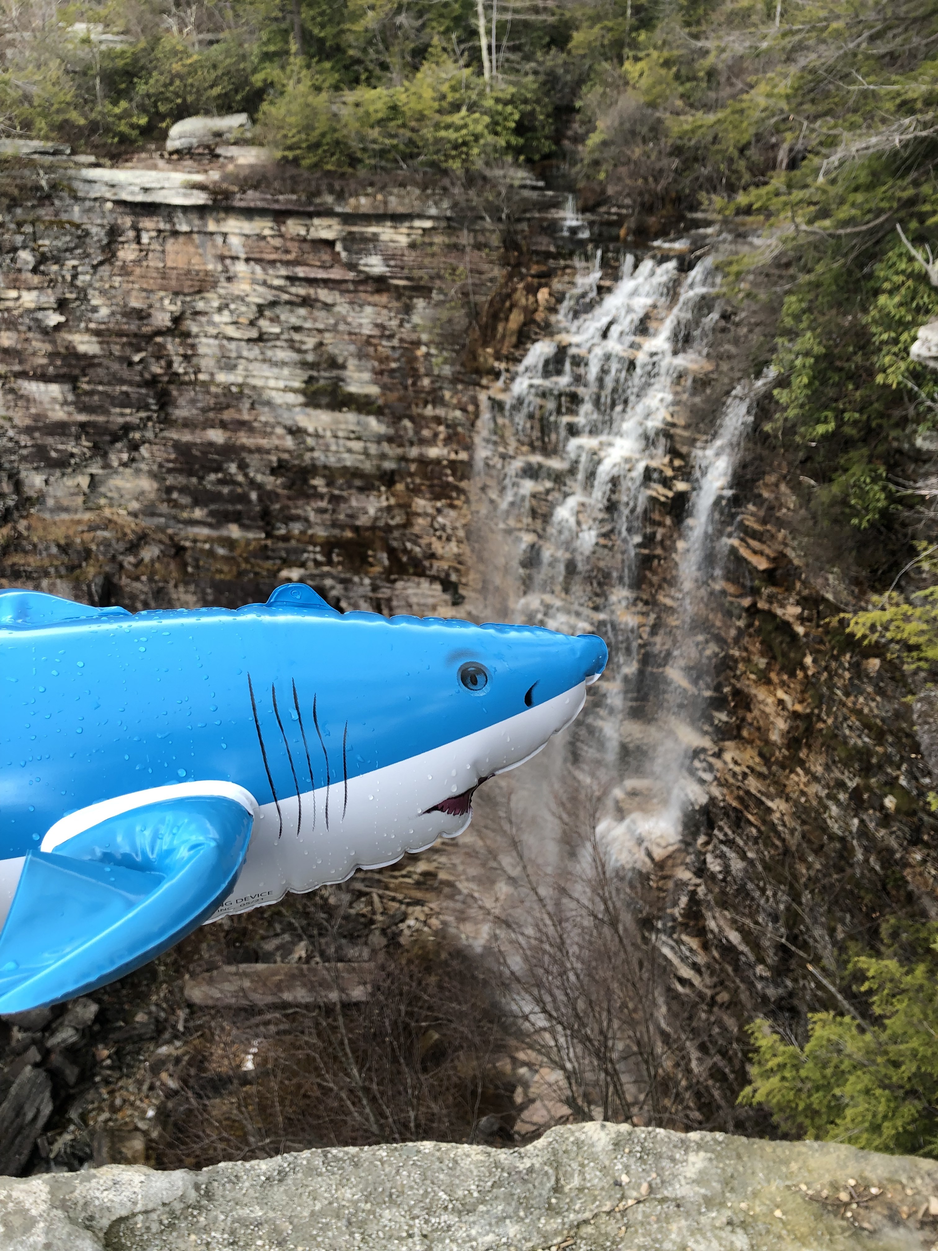 24" Inflatable Shark for Parties and Pools
