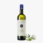 Sassicaia Extra Virgin Olive Oil: Tuscan Elegance in a Bottle 