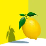 AcquaCedro Tassoni (2 x 200 cl) Historic Italian Drink 