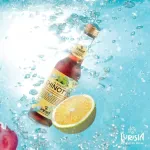 Chinotto Lurisia (4 x 9.3 oz) 