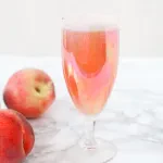 Prosecco & Spritz Book & Bellini Cocktail of Venice 