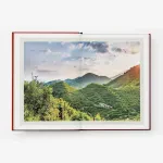 Prosecco & Spritz Book & Bellini Cocktail of Venice 