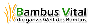 The store logo