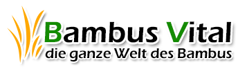 The store logo