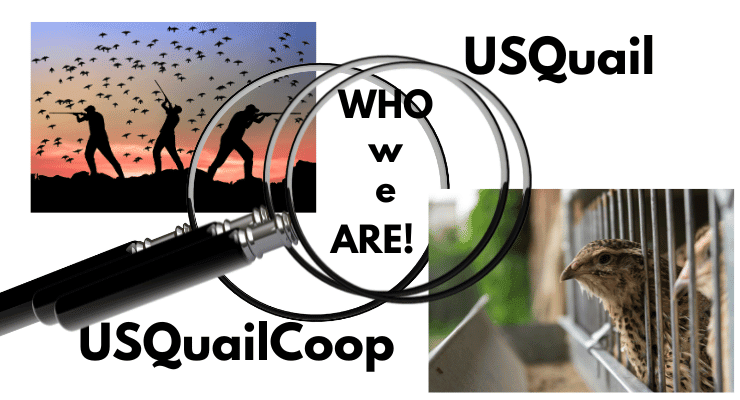 About us
