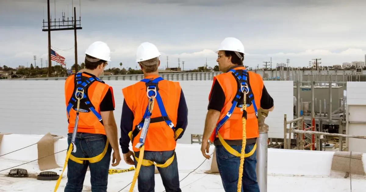 A selection of our products on this store