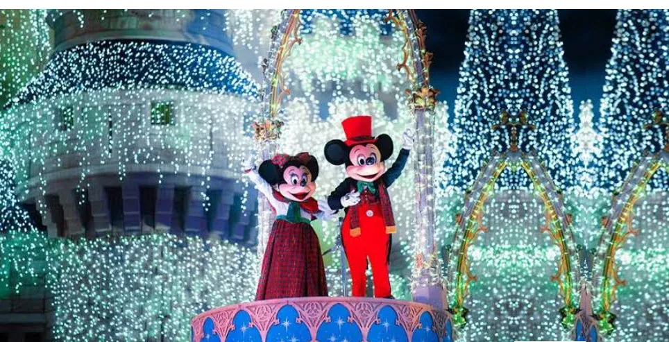 A selection of our products on this store