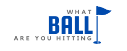 What Ball Are You Hitting? logo