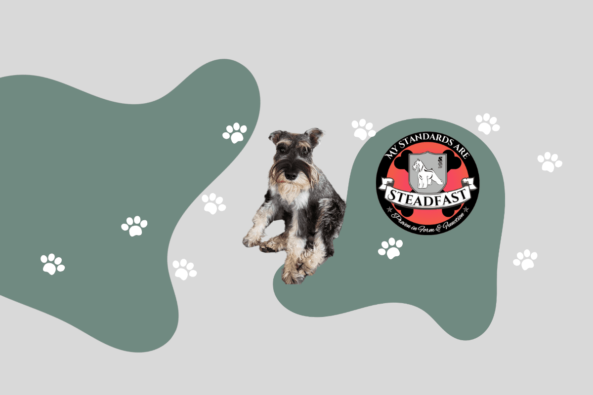 A selection of our products on this store