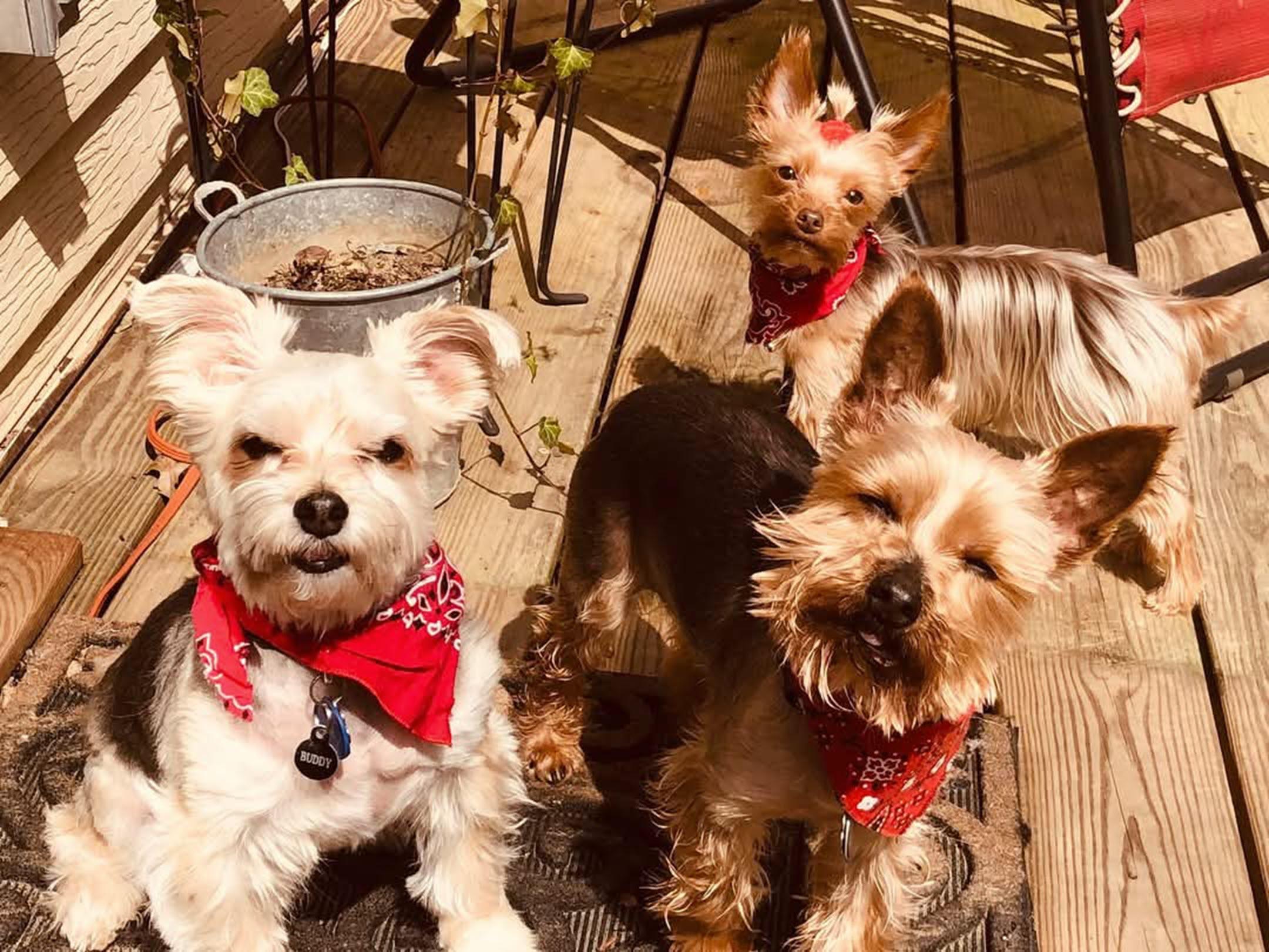 A selection of our products on this store