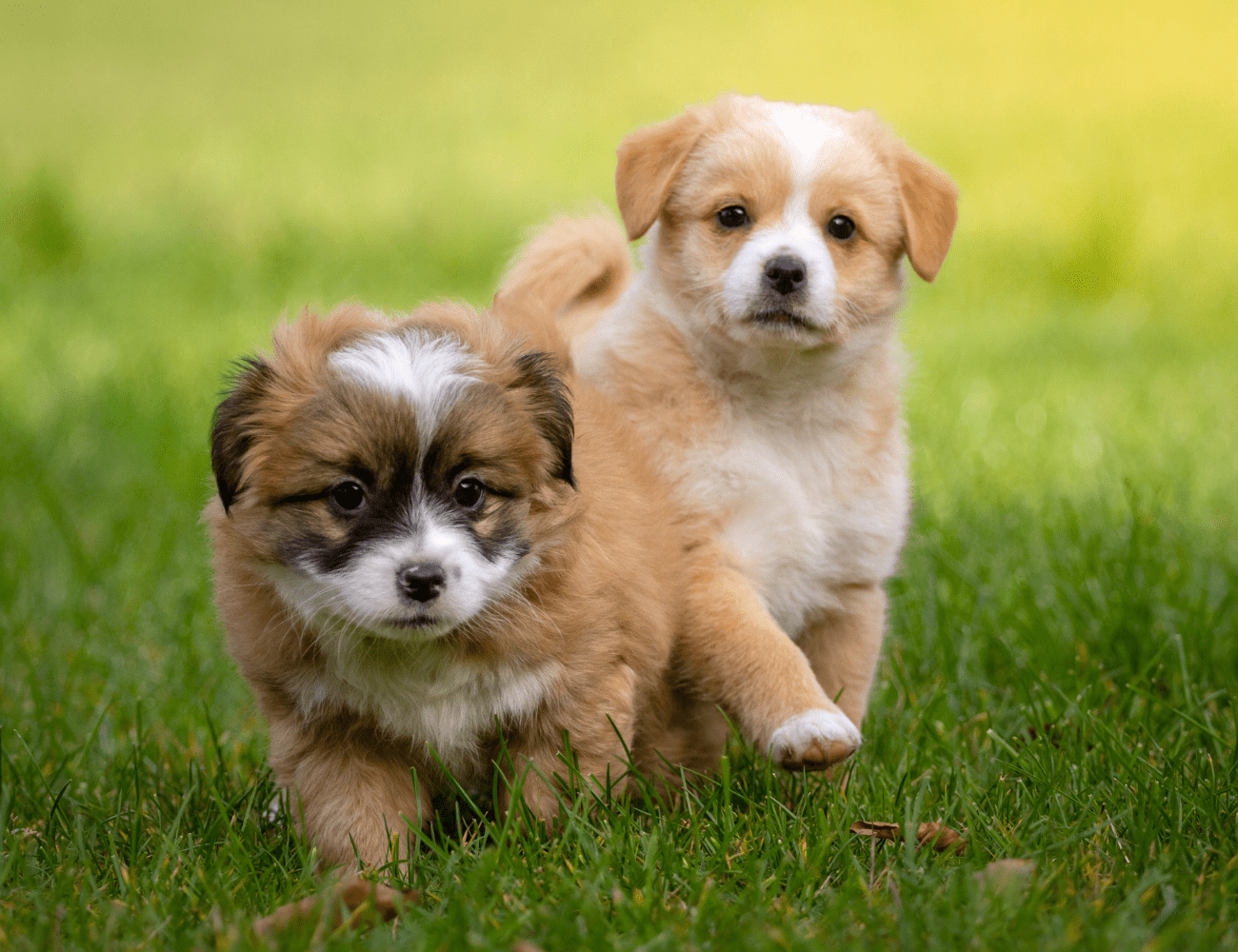 A selection of our products on this store