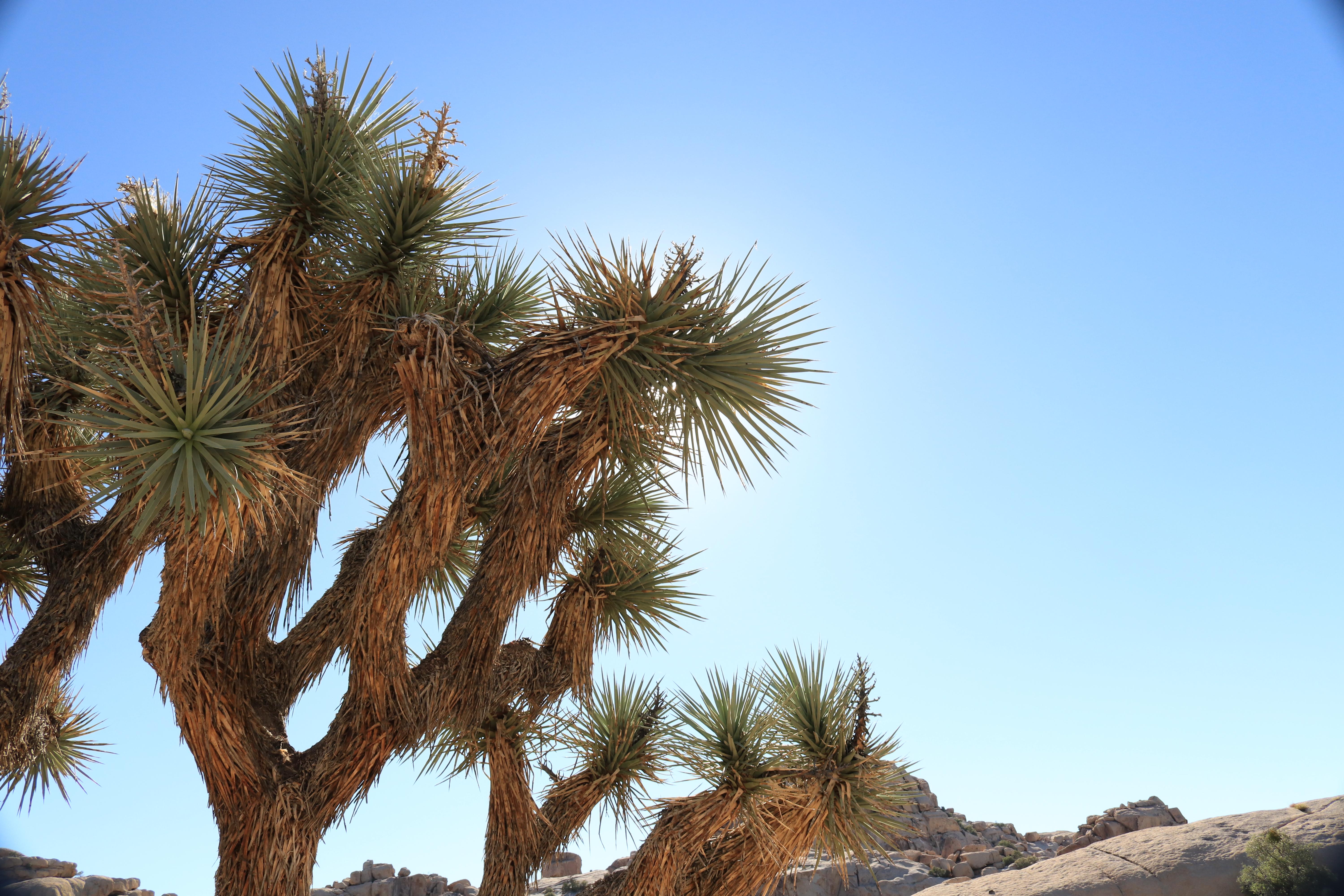 A selection of our products on this store