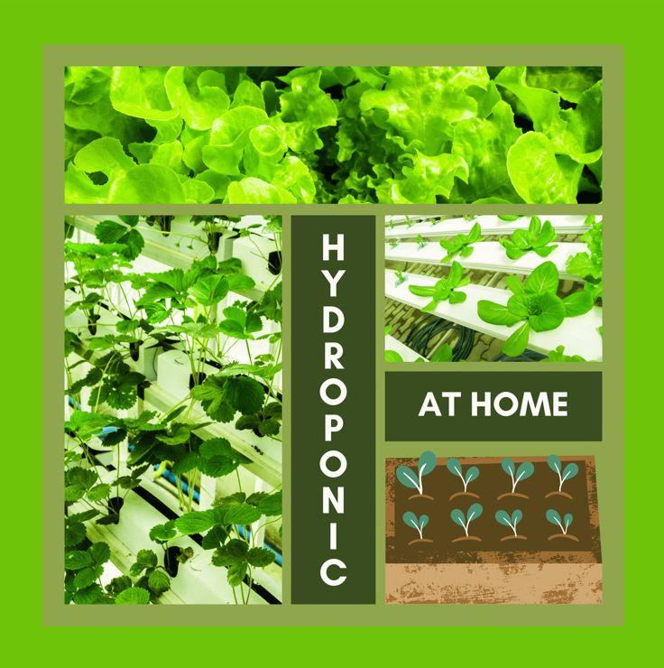 A selection of our products on this store