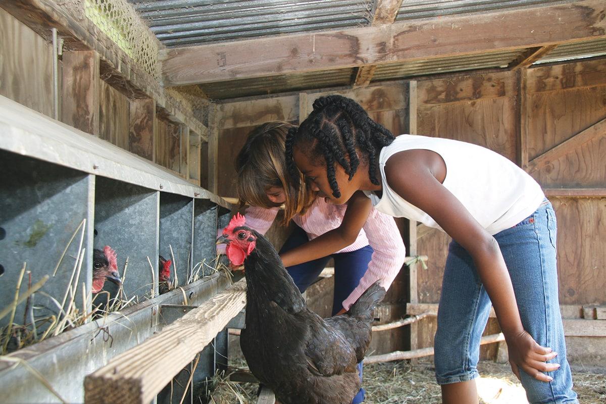 A selection of our products on this store