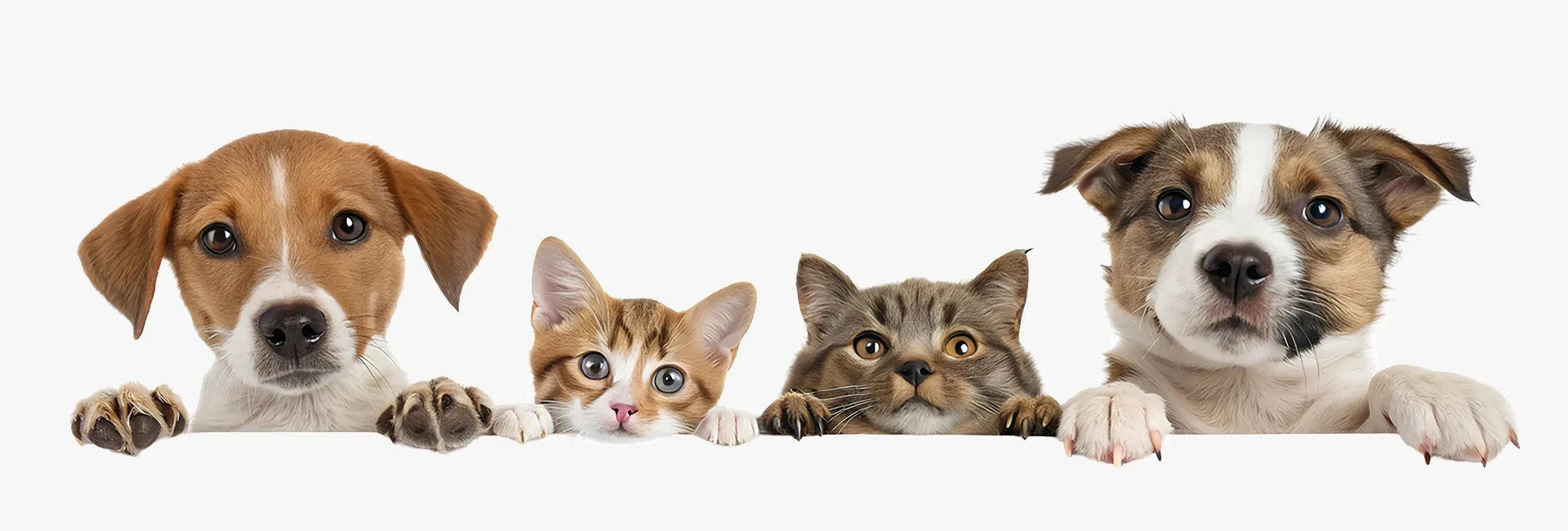 A selection of our products on this store