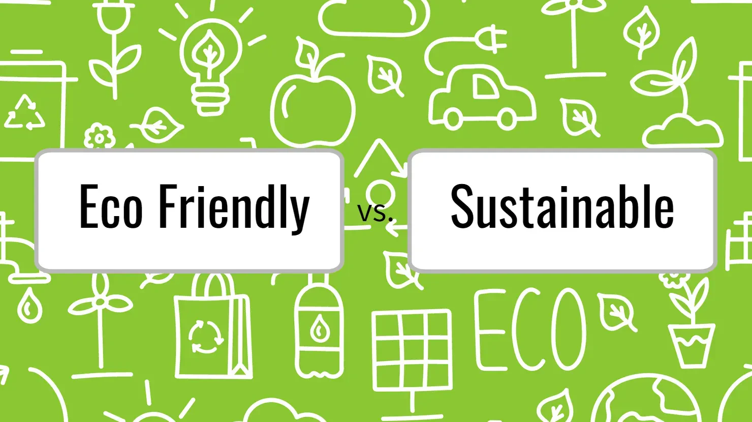 US Dollar bills scattered on the floor