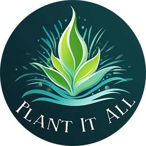 The store logo