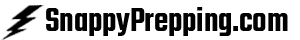 The store logo