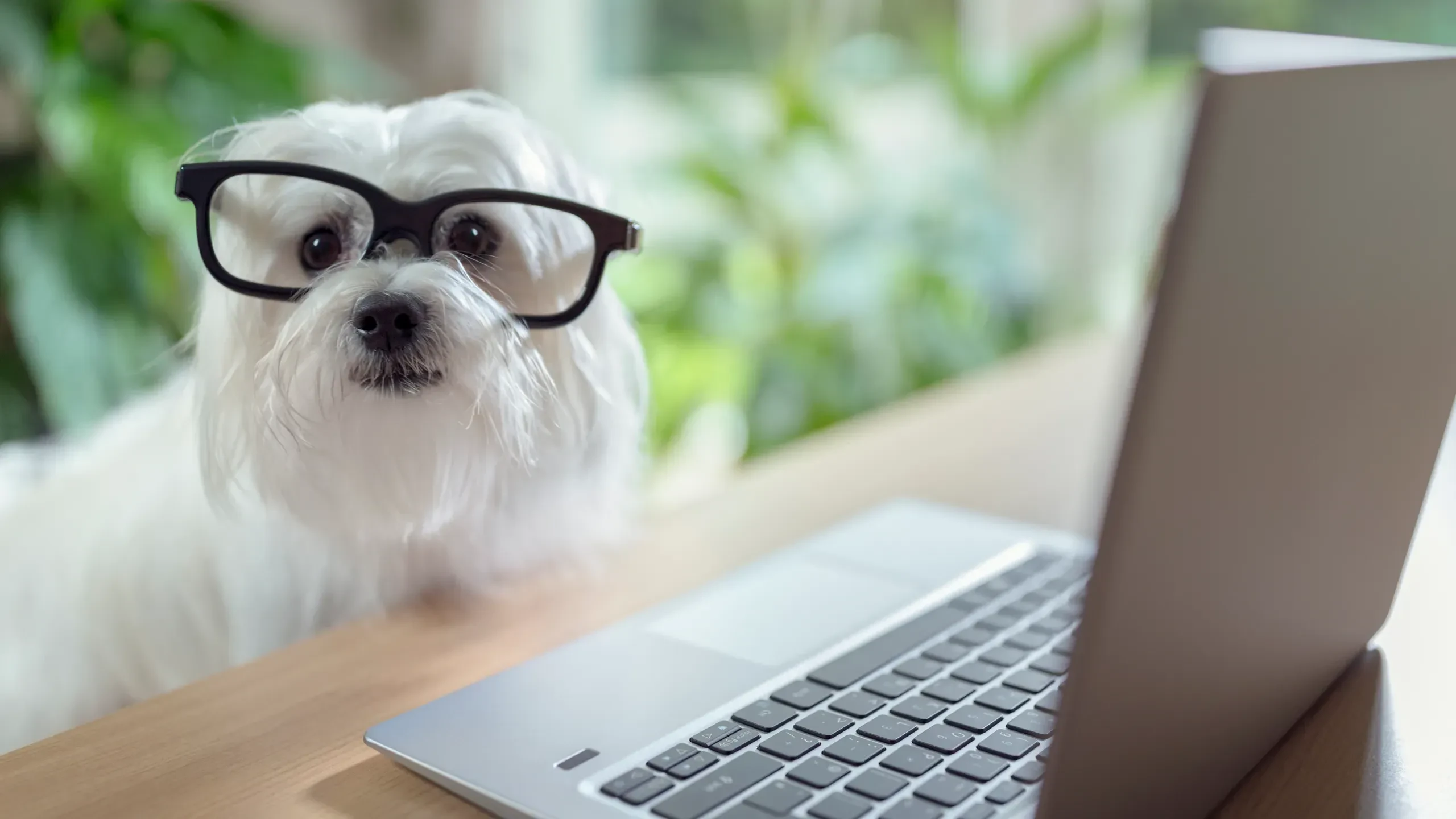 A selection of our products on this store