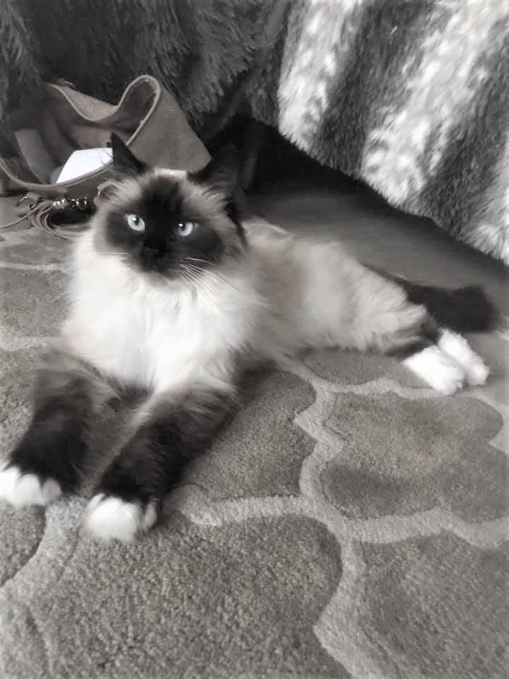 US Dollar bills scattered on the floor