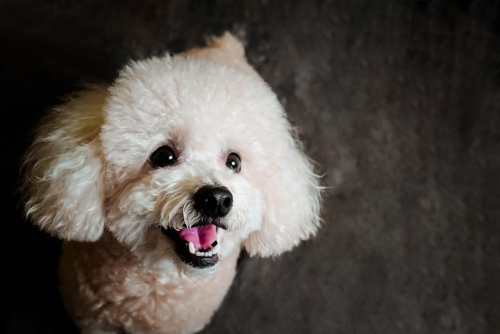 A selection of our products on this store