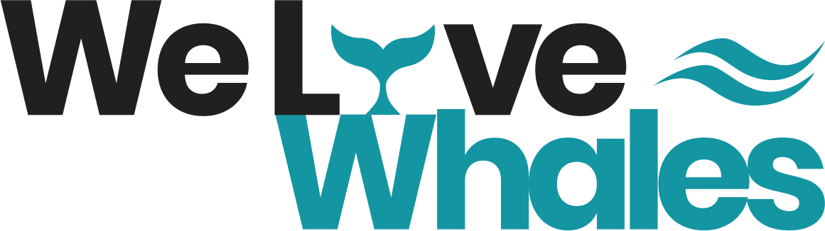 The store logo