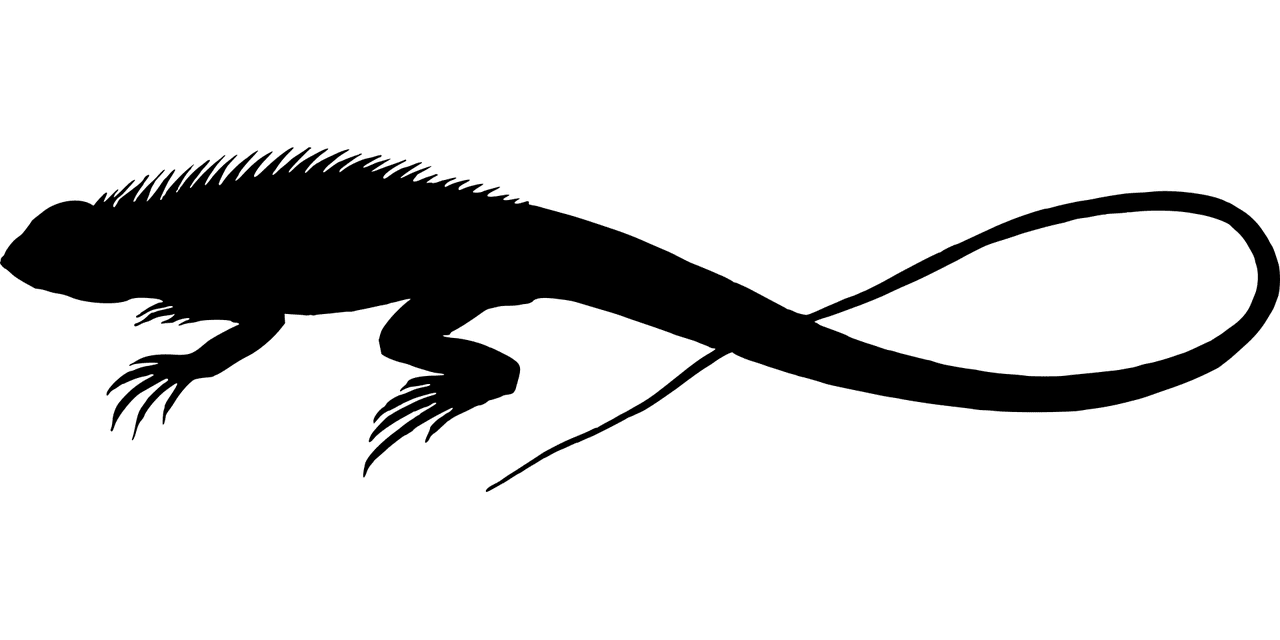 The store logo