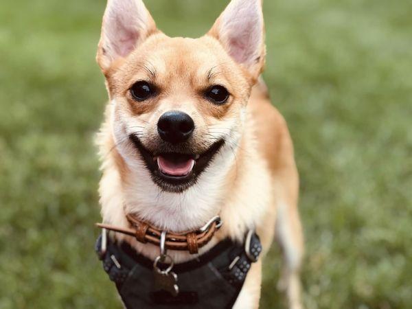 US Dollar bills scattered on the floor