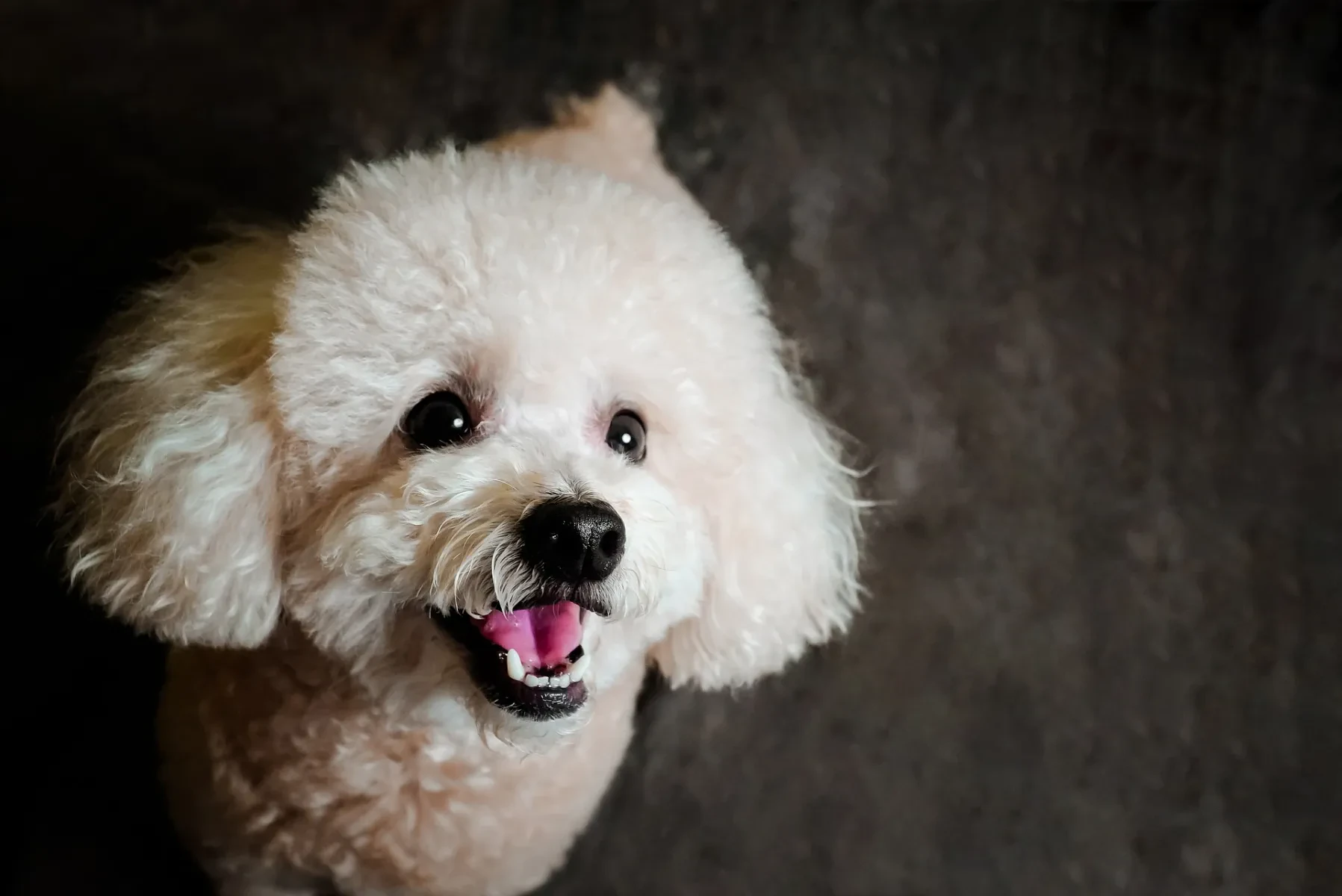 A selection of our products on this store