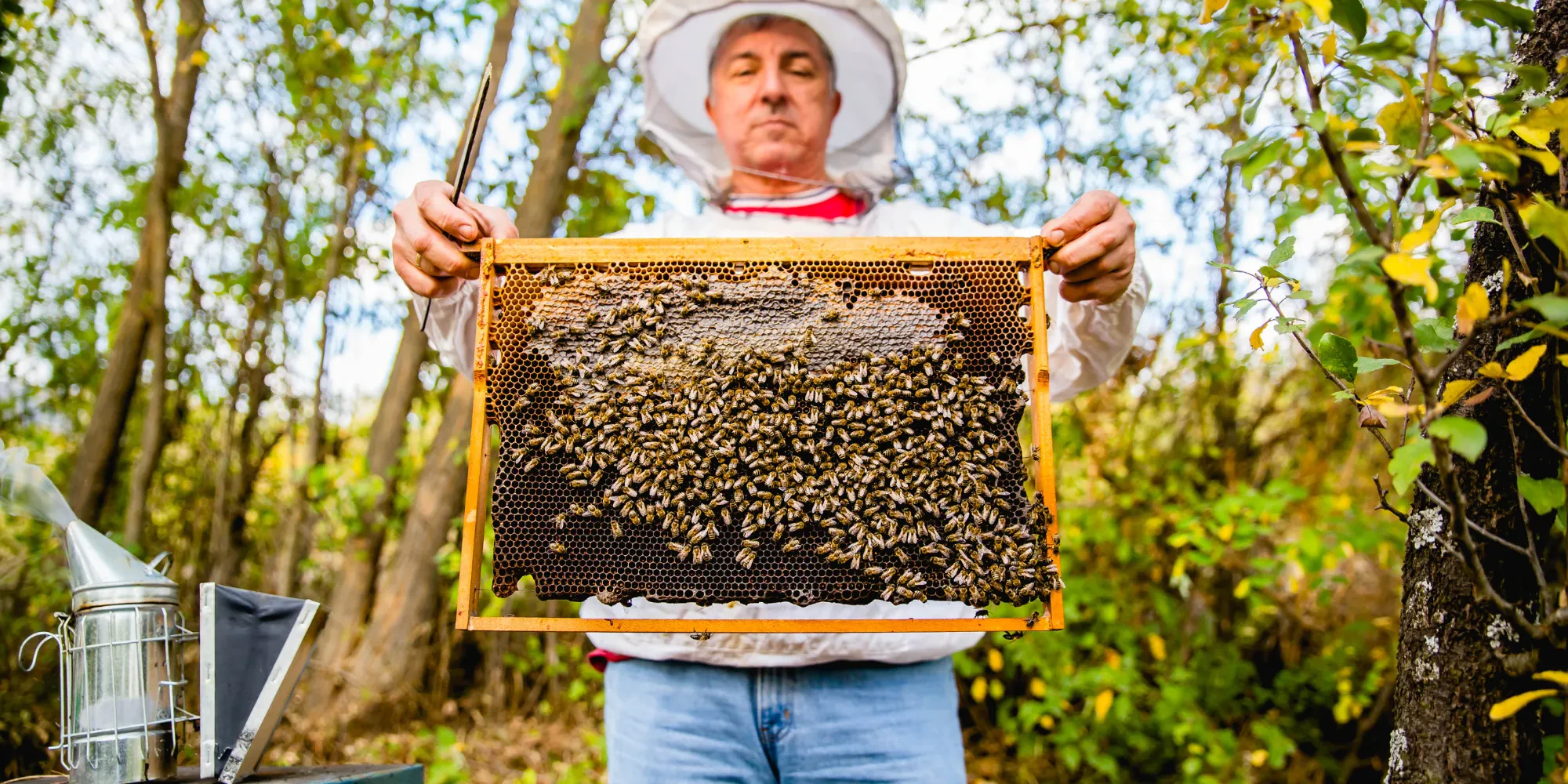 A selection of our products on this store