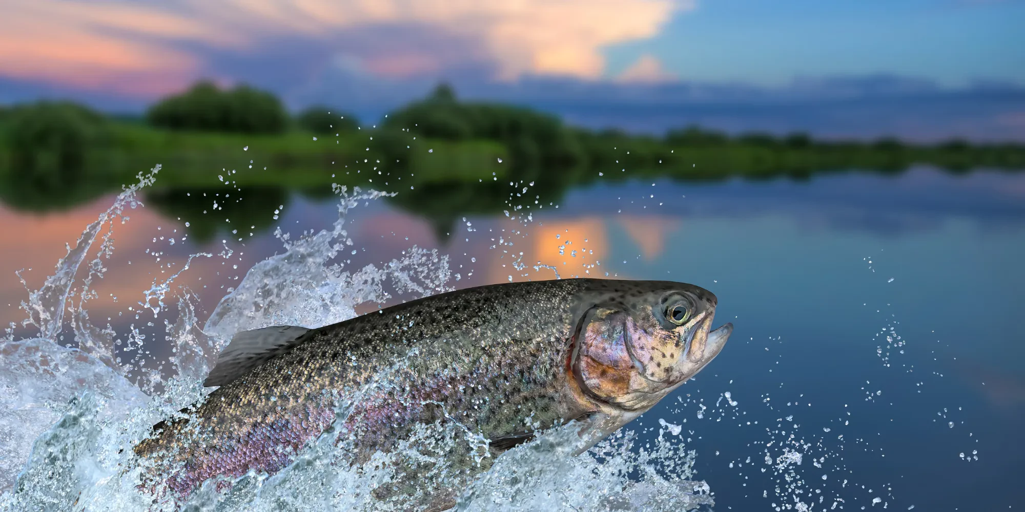 A selection of our products on this store