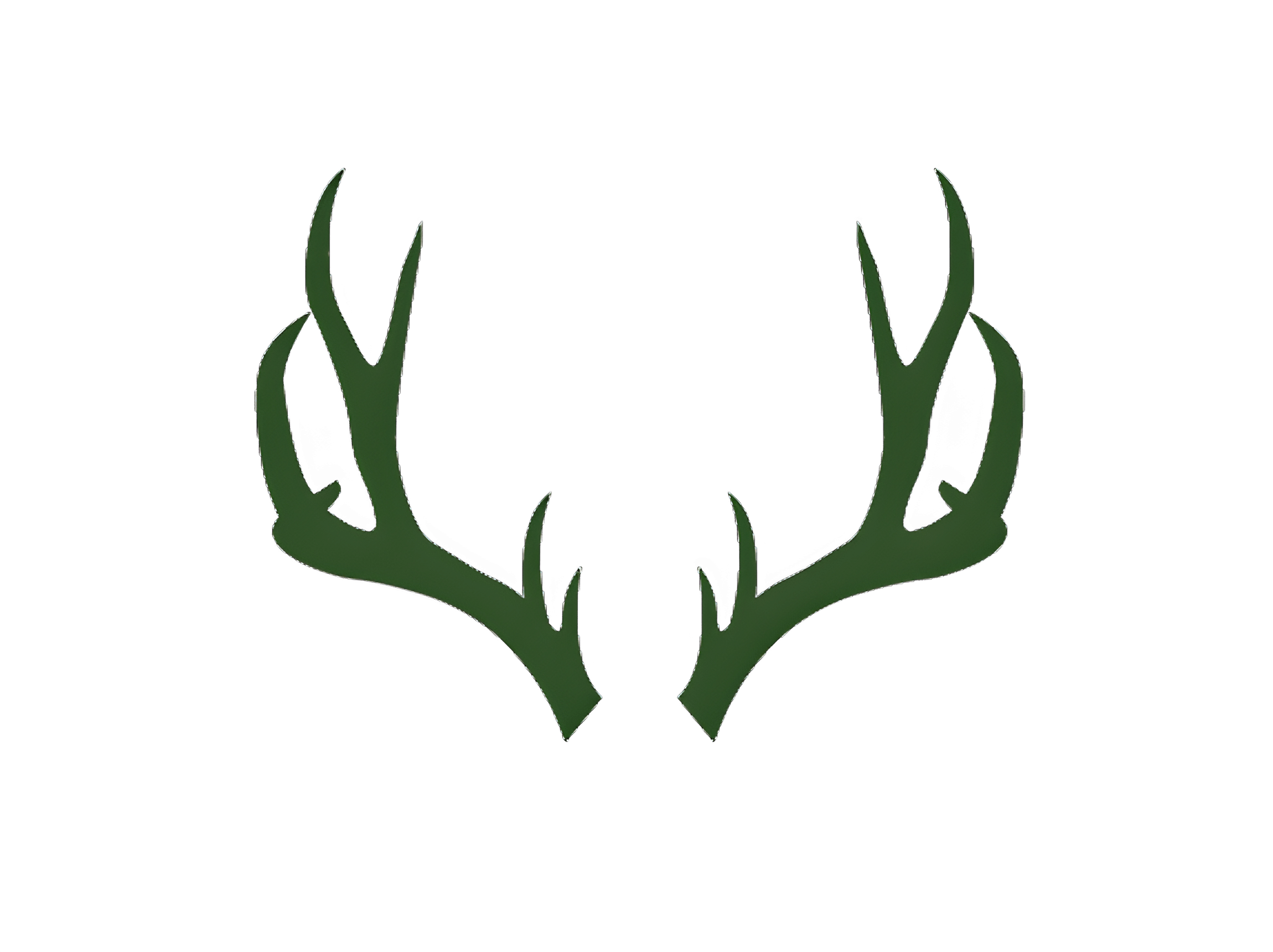 The store logo