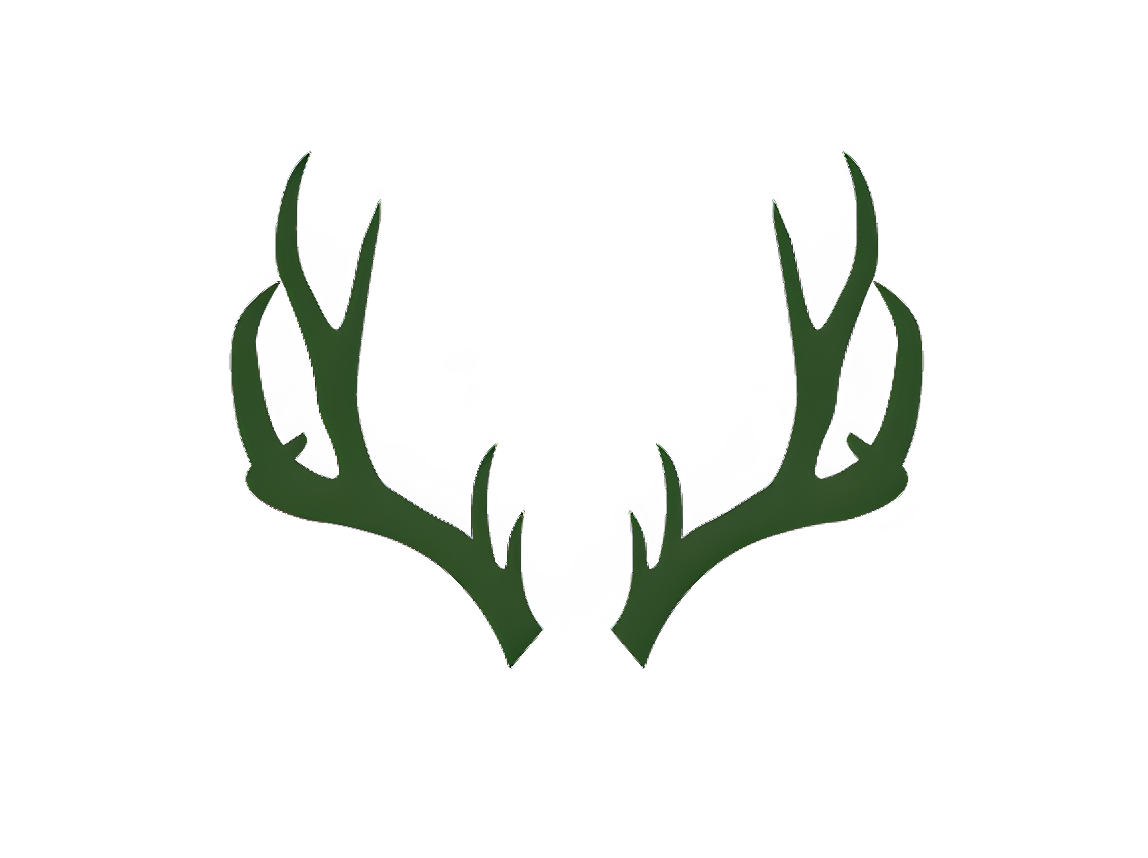 The store logo