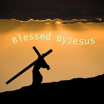 A selection of our products on this store