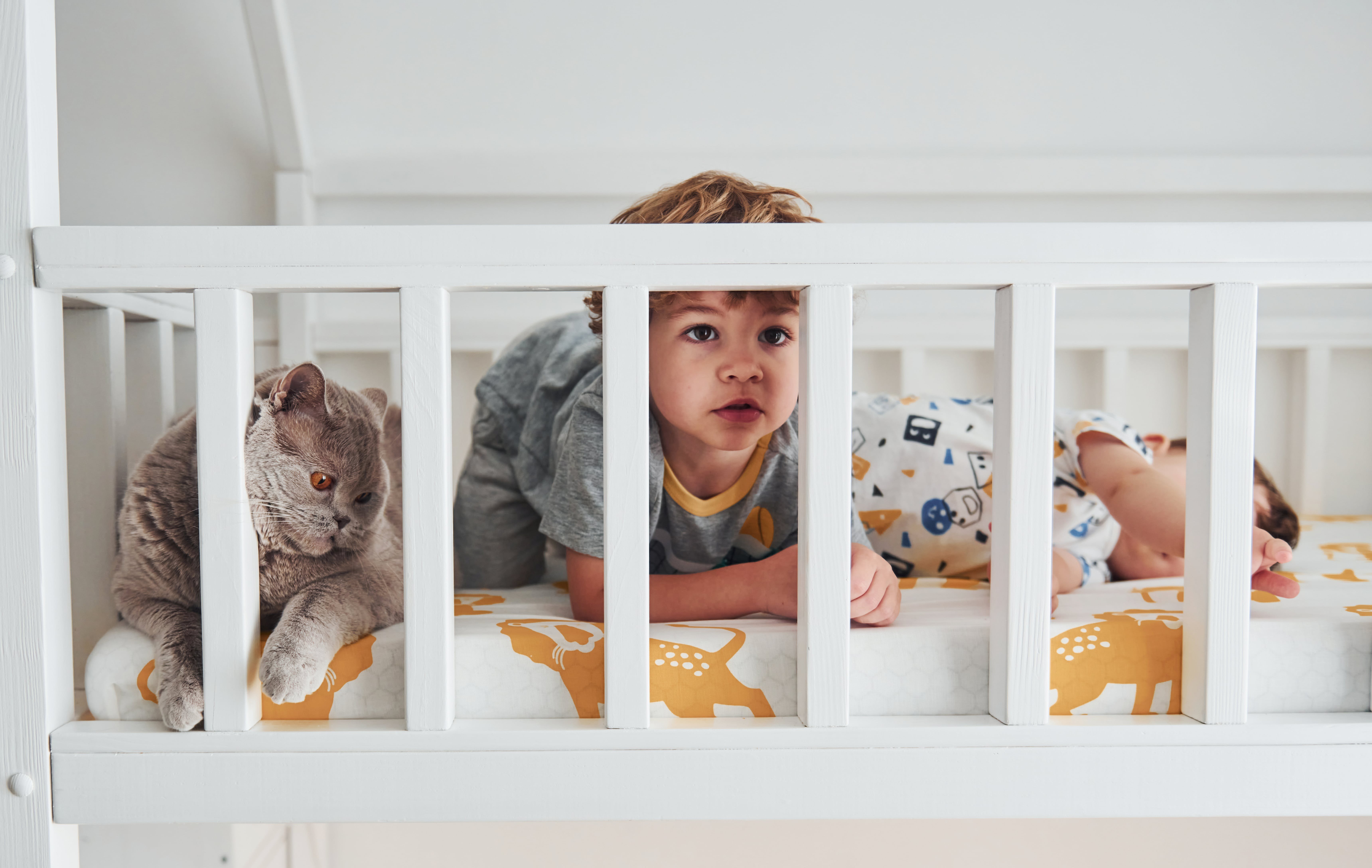 two-little-boys-resting-and-have-fun-ind