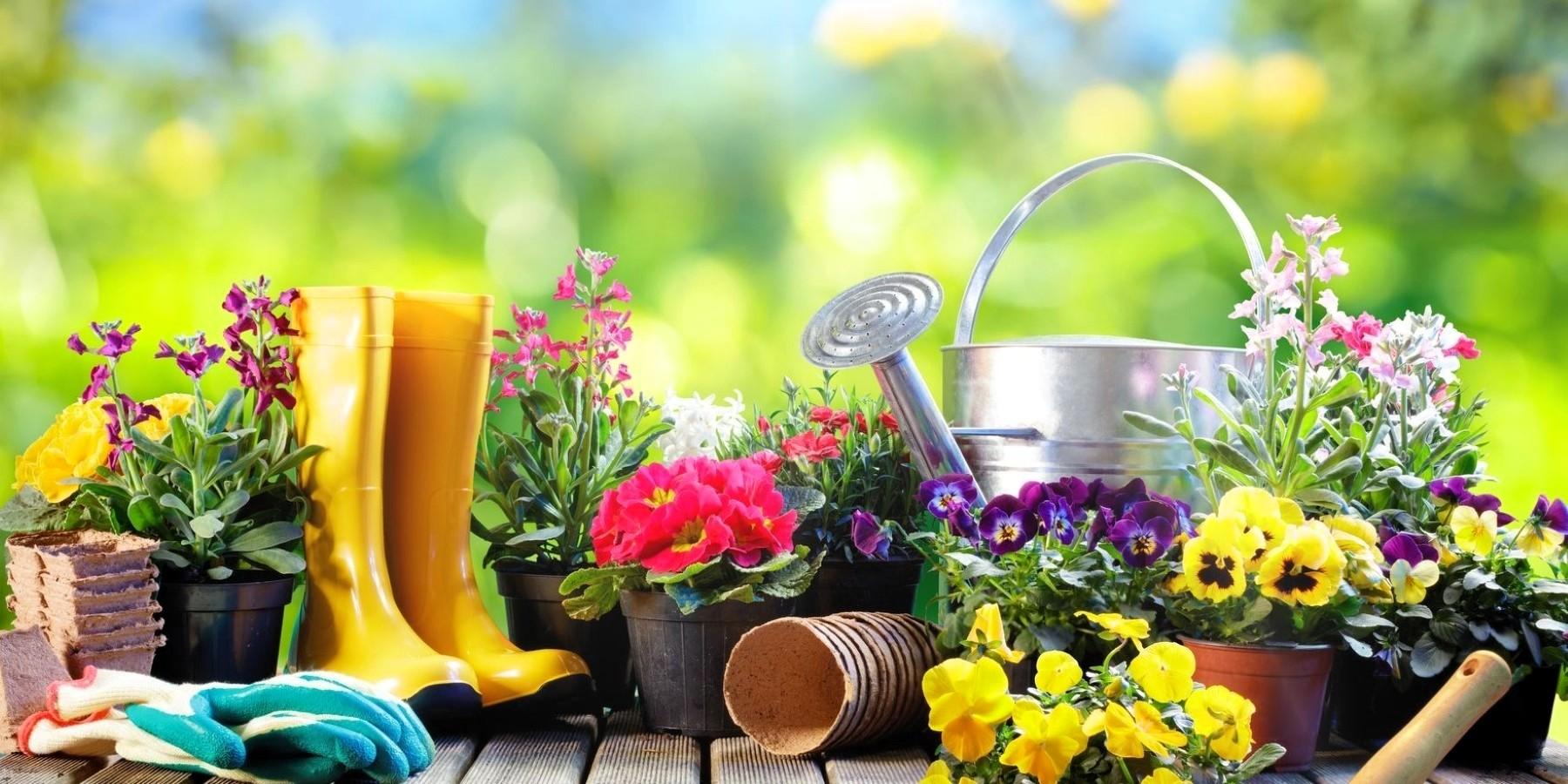 A selection of our products on this store