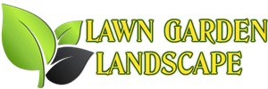 The store logo
