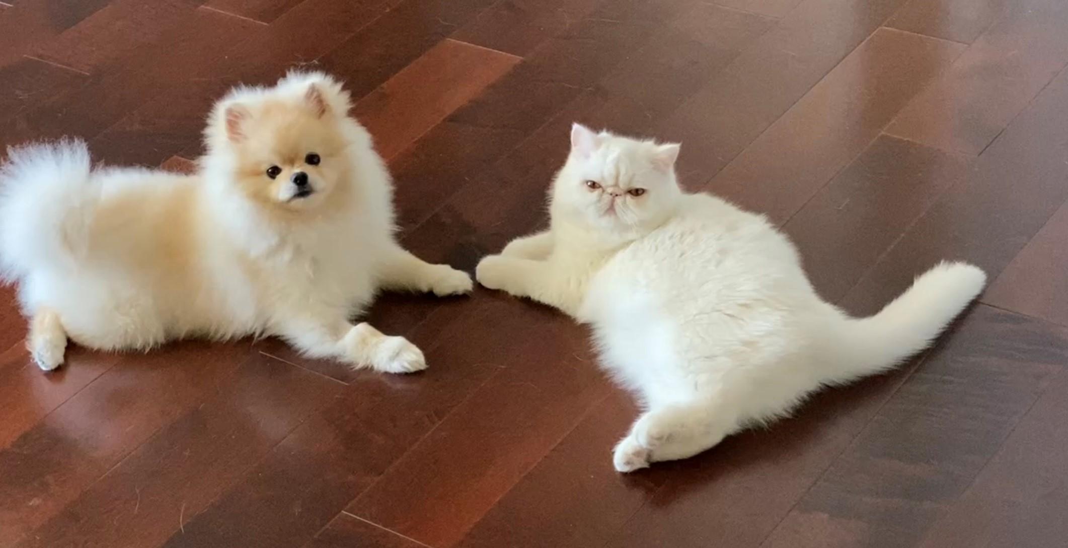 A selection of our products on this store