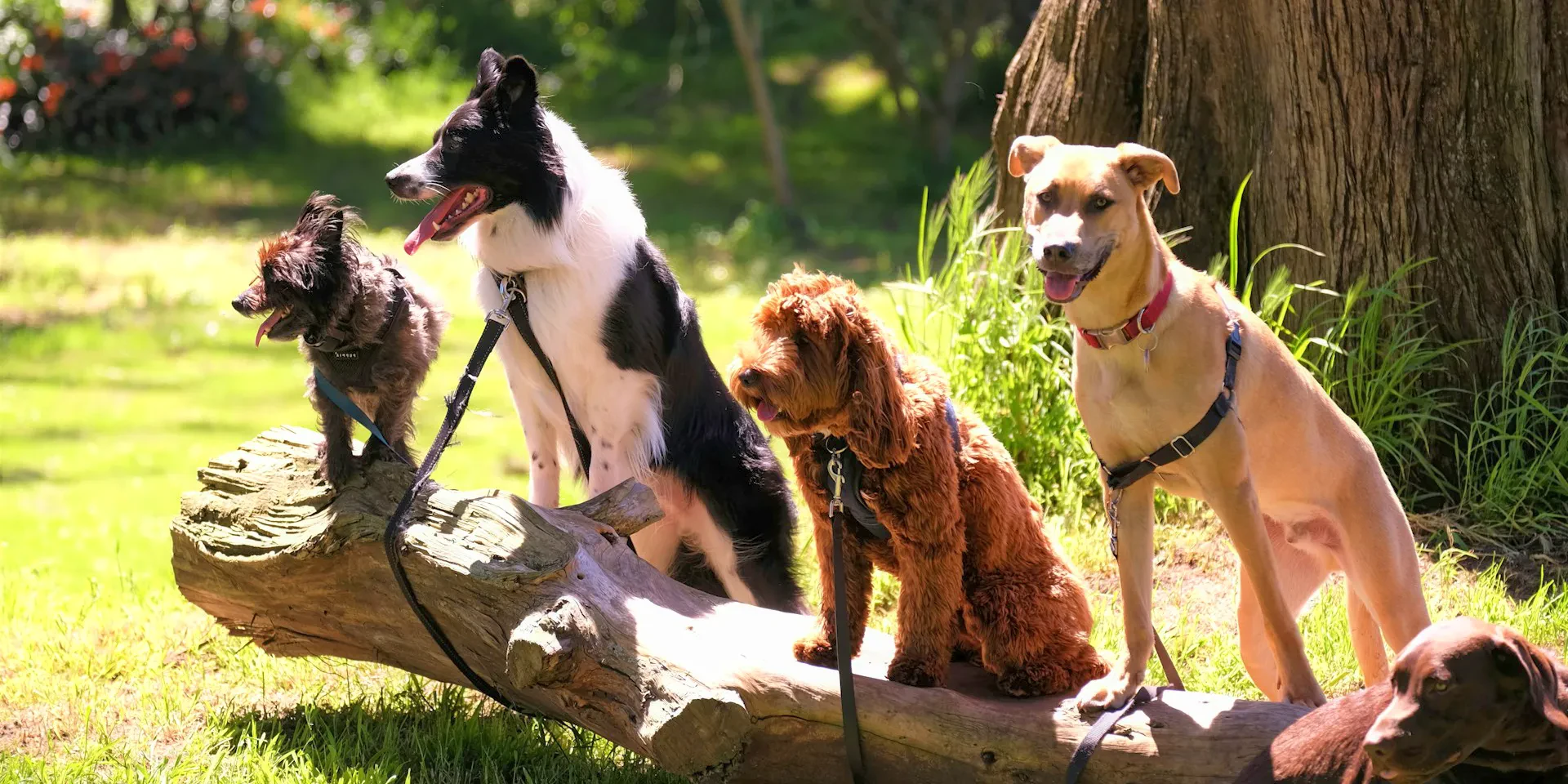 A selection of our products on this store