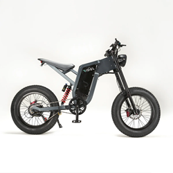 Ridel R1 Electric Bike Review 250