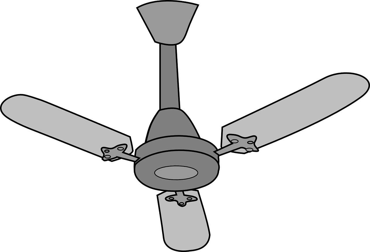 The store logo